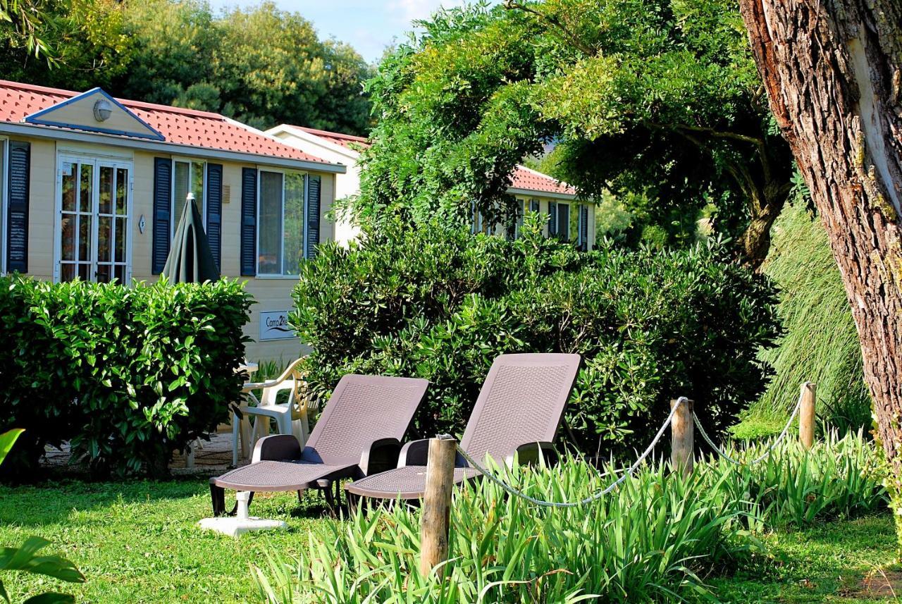 International Glamping Lago Di Bracciano Тревиньяно-Романо Экстерьер фото