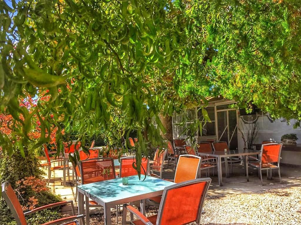 International Glamping Lago Di Bracciano Тревиньяно-Романо Экстерьер фото